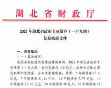 新增地方债要来了！湖北“首发”250亿，二季