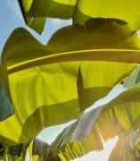 别被化妆品成分表难住!化妆品选购不盲目|