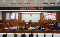 13人传销案开庭，勐腊县人民检察院撕开 “投资” 伪装！
